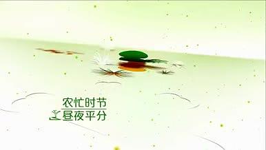 春分宣传展示中国传统节气唯美通用版视频的预览图